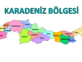 KARADENİZ BÖLGESİ