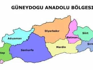GÜNEYDOĞU ANADOLU BÖLGESİ AMBAR KARGO